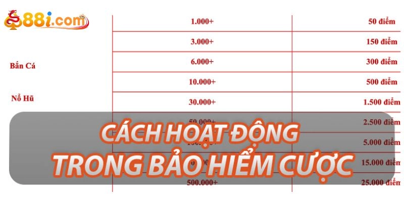 Bảo hiểm cược thua 88i