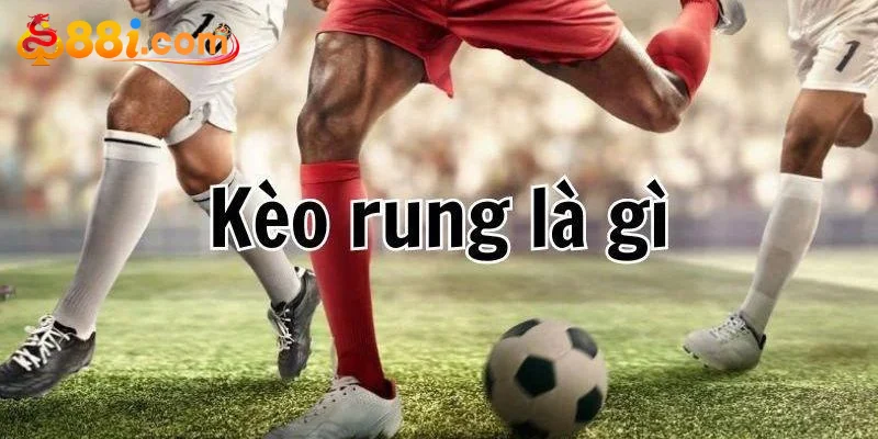 Tổng quan kèo rung tại sân chơi 88i